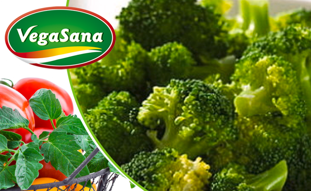 Brócoli Braseado VegaSana - Producto Sano - 100% Natural